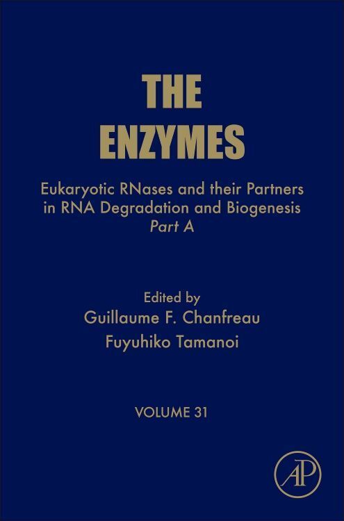 Produktbild: Eukaryotic Rnases and Their Partners in RNA Degradation and