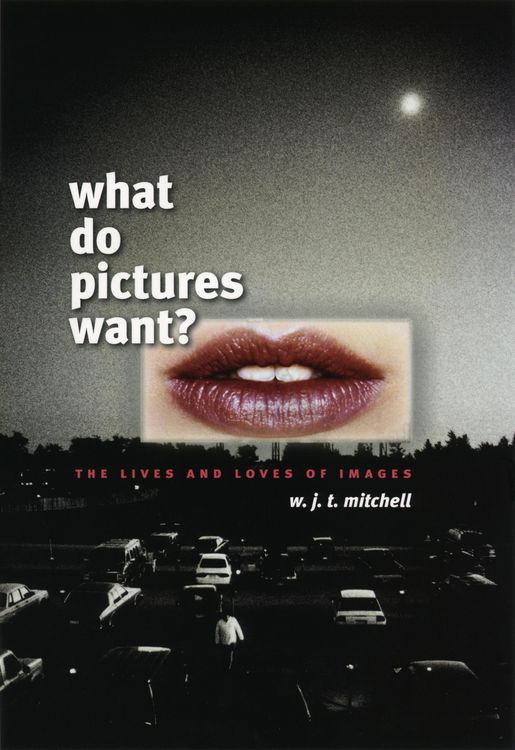 Produktbild: What Do Pictures Want?