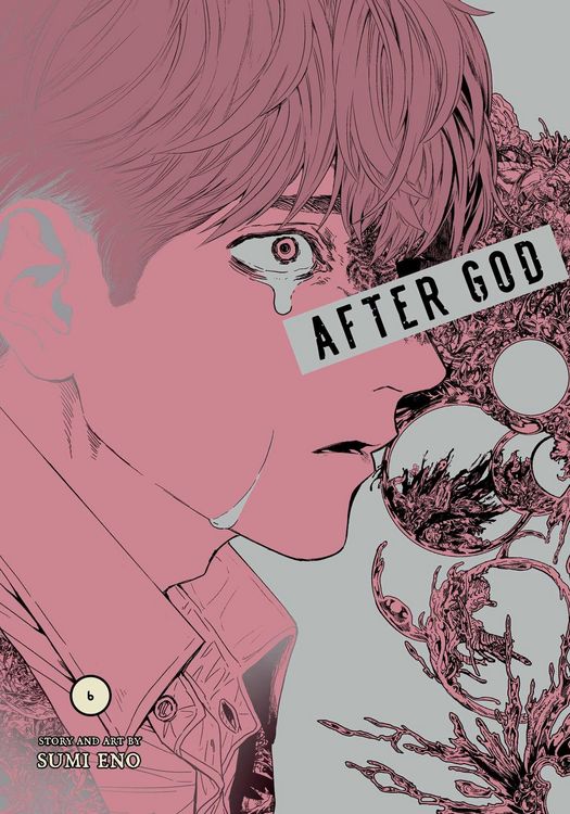 Produktbild: After God, Vol. 6