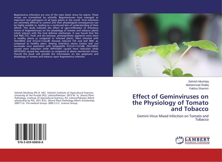 Produktbild: Effect of Geminviruses on the Physiology of Tomato and Tobacco