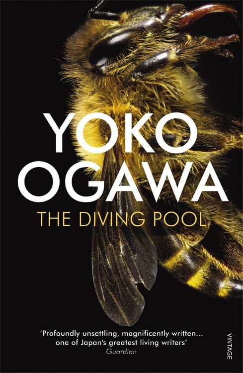 Produktbild: The Diving Pool