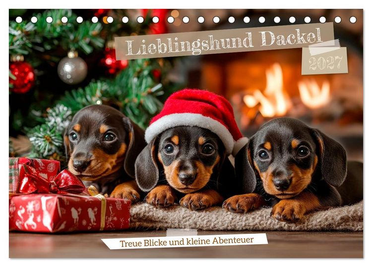 Produktbild: Lieblingshund Dackel (Tischkalender 2027 DIN A5 quer), CALVENDO Monatskalender