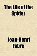 Produktbild: The Life of the Spider