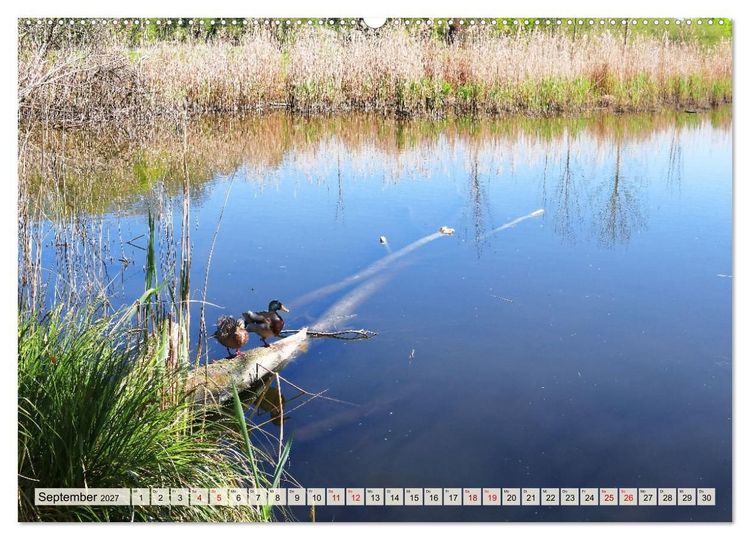 Produktbild: Ausflug nach Blankensee in Brandenburg (Wandkalender 2027 DIN A2 quer), CALVENDO Monatskalender