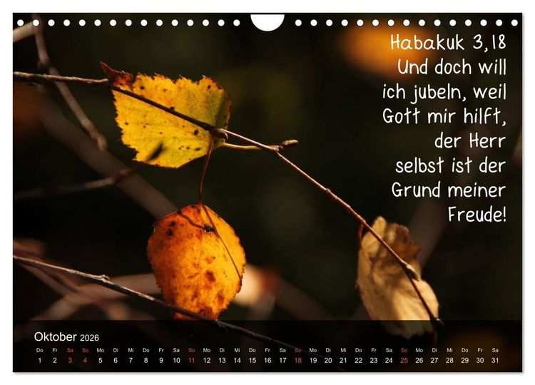 Produktbild: Sch&ouml;pfung im Licht (Wandkalender 2026 DIN A4 quer), CALVENDO Monatskalender