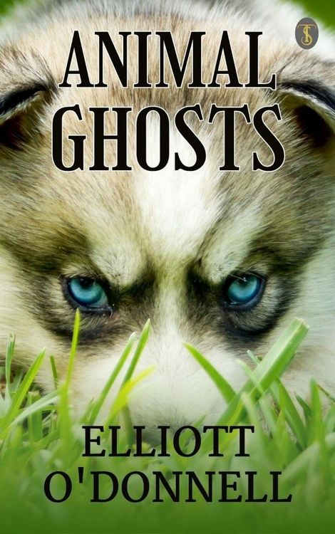 Produktbild: Animal Ghosts