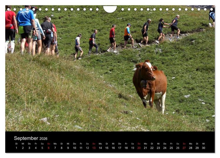 Produktbild: Der Jungfrau-Marathon (Wandkalender 2026 DIN A4 quer), CALVENDO Monatskalender