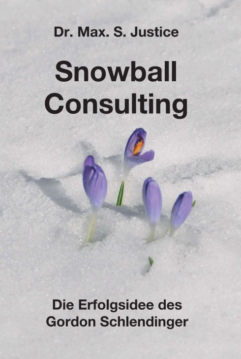 Produktbild: Snowball Consulting
