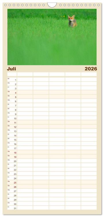 Produktbild: Familienplaner 2026 - Auf den Spuren der Stadtf&uuml;chse mit 5 Spalten (Wandkalender, 21 x 45 cm) CALVENDO