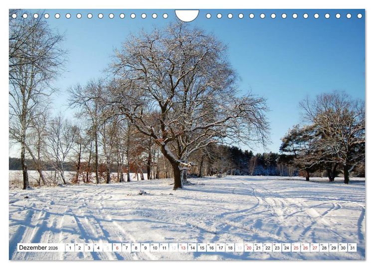 Produktbild: Vier Jahreszeiten im Land Brandenburg (Wandkalender 2026 DIN A4 quer), CALVENDO Monatskalender