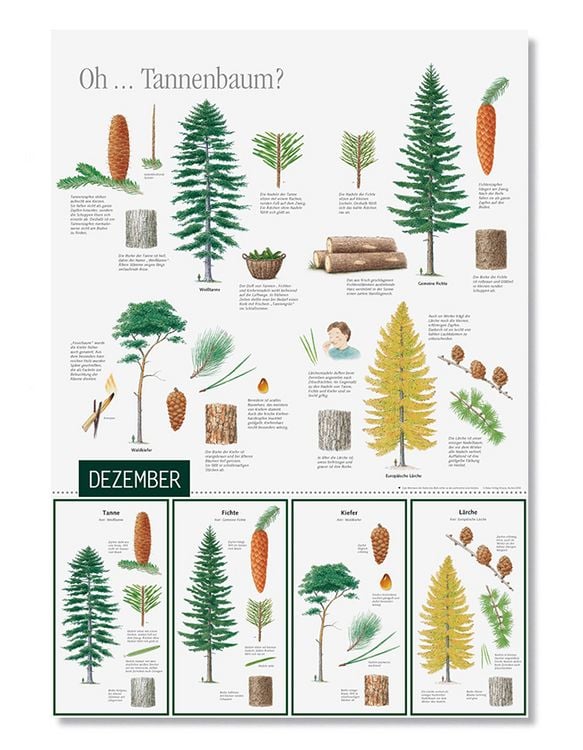 Produktbild: Natur erleben durch das Jahr - 3
