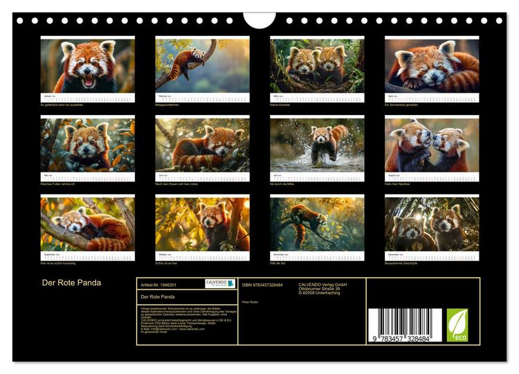 Produktbild: Der Rote Panda (Wandkalender 2026 DIN A4 quer), CALVENDO Monatskalender