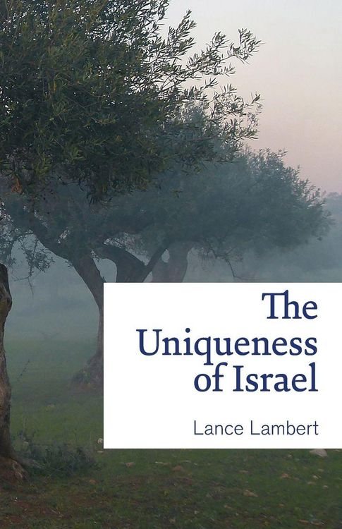 Produktbild: The Uniqueness of Israel