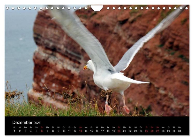 Produktbild: Faszinierendes Helgoland (Wandkalender 2026 DIN A4 quer), CALVENDO Monatskalender