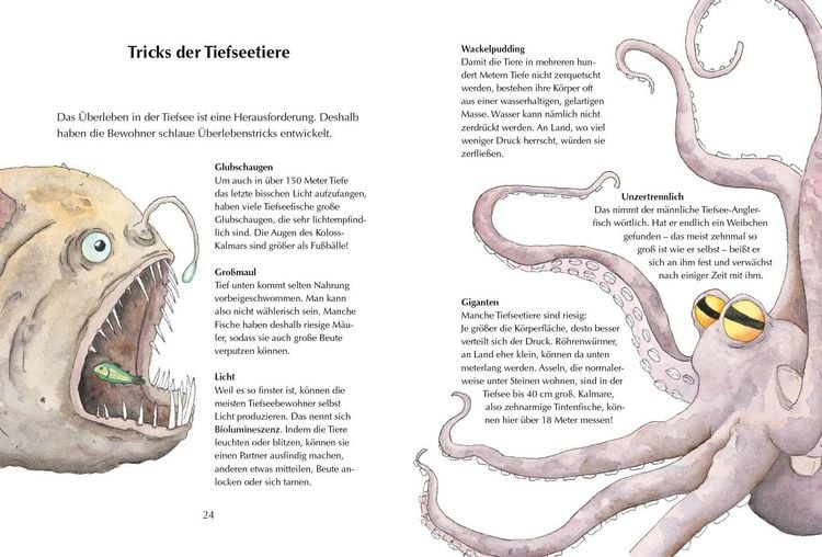 Produktbild: Alles klar! Der kleine Drache Kokosnuss erforscht die Ozeane