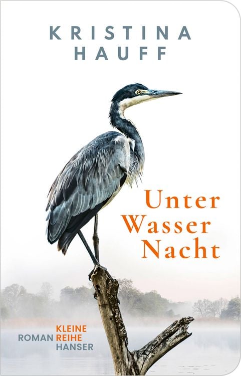 Produktbild: Unter Wasser Nacht