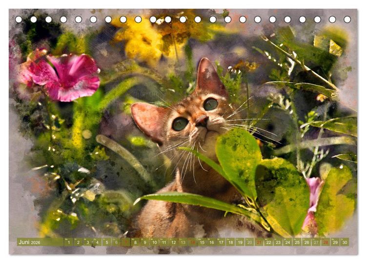 Produktbild: Katzenkalender mausgemalt (Tischkalender 2026 DIN A5 quer), CALVENDO Monatskalender