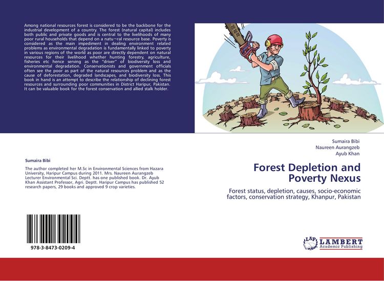 Produktbild: Forest Depletion and Poverty Nexus