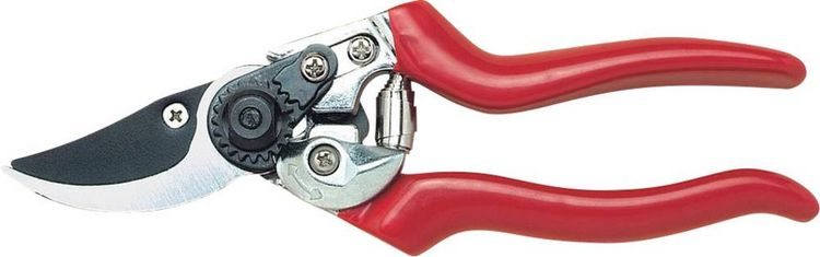 Produktbild: C.K G5631 Premium Astschere 215mm Bypass
