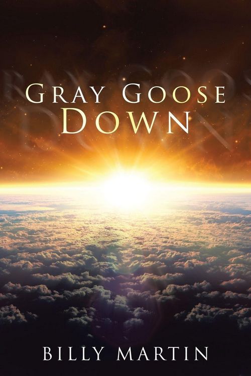 Produktbild: Gray Goose Down