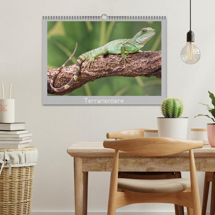 Produktbild: Terrarientiere (Wandkalender 2026 DIN A3 quer), CALVENDO Monatskalender