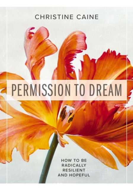 Produktbild: Permission to Dream