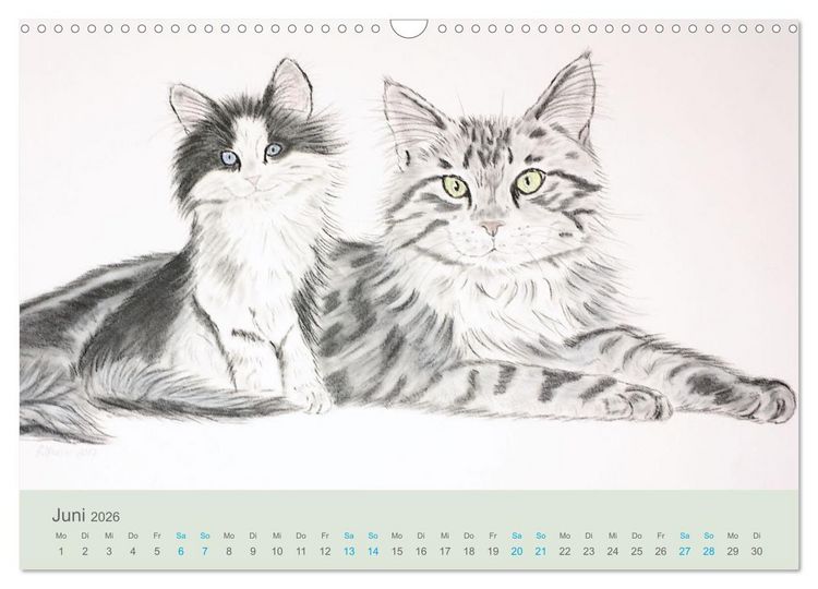 Produktbild: KATZEN PortraiTierART (Wandkalender 2026 DIN A3 quer), CALVENDO Monatskalender