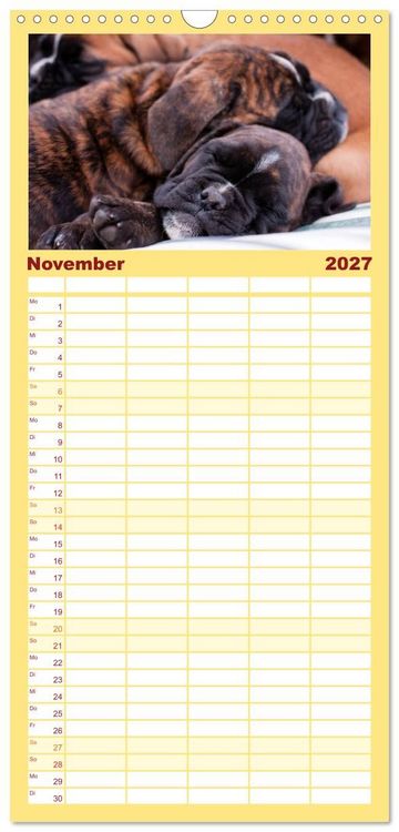 Produktbild: Familienplaner 2027 - Deutscher Boxer 2027 mit 5 Spalten (Wandkalender, 21 x 45 cm) CALVENDO