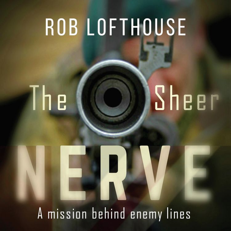Produktbild: The Sheer Nerve