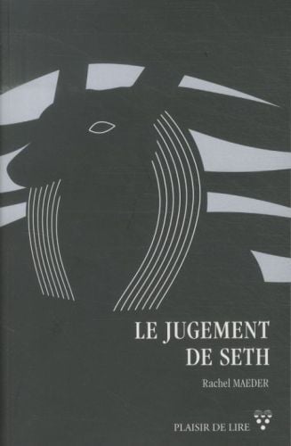 Produktbild: Le jugement de Seth : roman policier