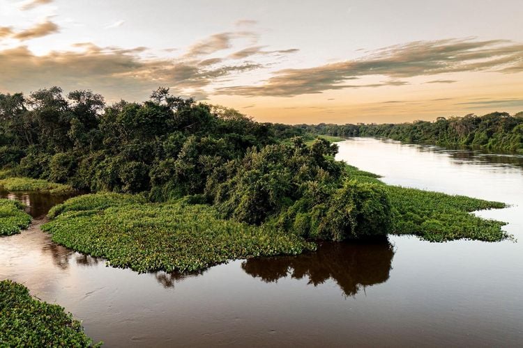 Produktbild: Pantanal
