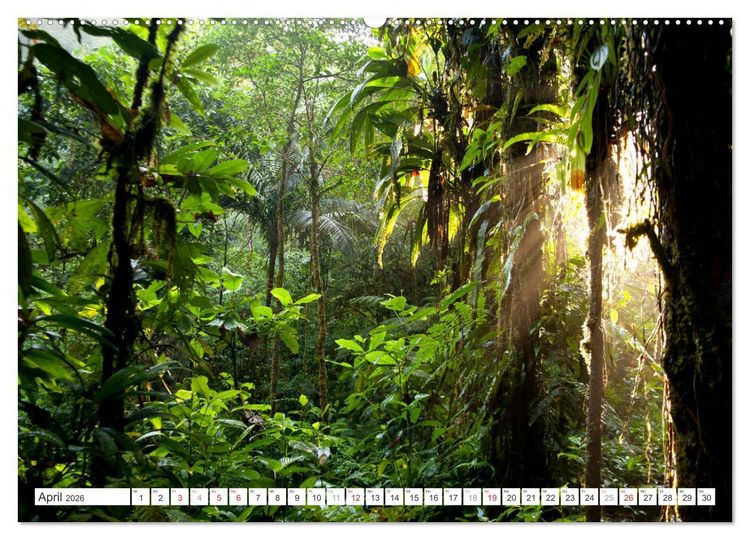 Produktbild: Faszination Naturwunder (hochwertiger Premium Wandkalender 2026 DIN A2 quer), Kunstdruck in Hochglanz