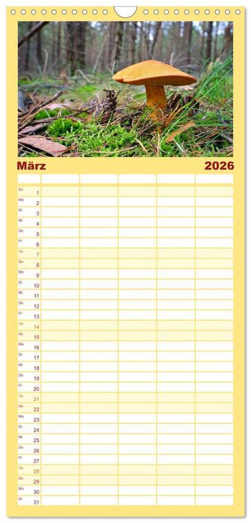 Produktbild: Familienplaner 2026 - Heimische Pilze mit 5 Spalten (Wandkalender, 21 x 45 cm) CALVENDO