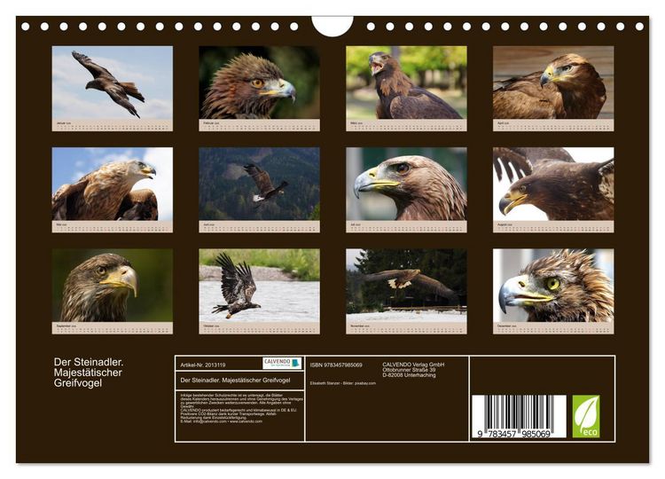 Produktbild: Der Steinadler. Majest&auml;tischer Greifvogel (Wandkalender 2026 DIN A4 quer), CALVENDO Monatskalender
