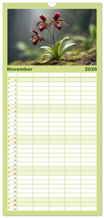 Produktbild: Familienplaner 2026 - Im Schatten der Orchidee mit 5 Spalten (Wandkalender, 21 x 45 cm) CALVENDO