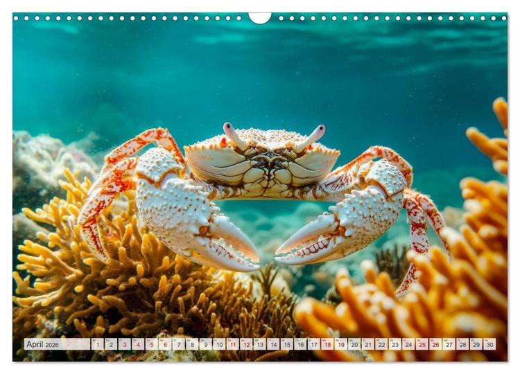 Produktbild: OZEANWELTEN Faszination Meerestiere (Wandkalender 2026 DIN A3 quer), CALVENDO Monatskalender