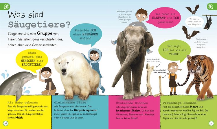 Produktbild: Wissen f&uuml;r Vorschulkids. Was wei&szlig;t du &uuml;ber Tiere?