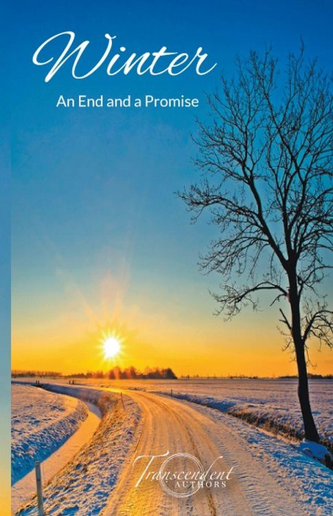 Produktbild: Winter, An End and a Promise