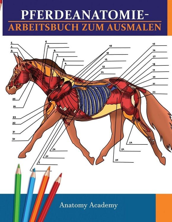 Produktbild: Pferdeanatomie-Arbeitsbuch zum Ausmalen