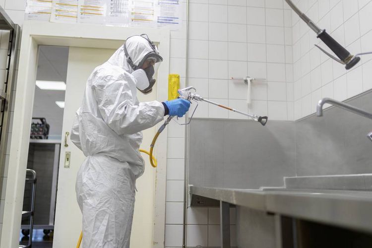 Produktbild: Wagner W 590 Flexio Farbspr&uuml;hsystem 630W F&ouml;rdermenge (max.) 500 ml/min
