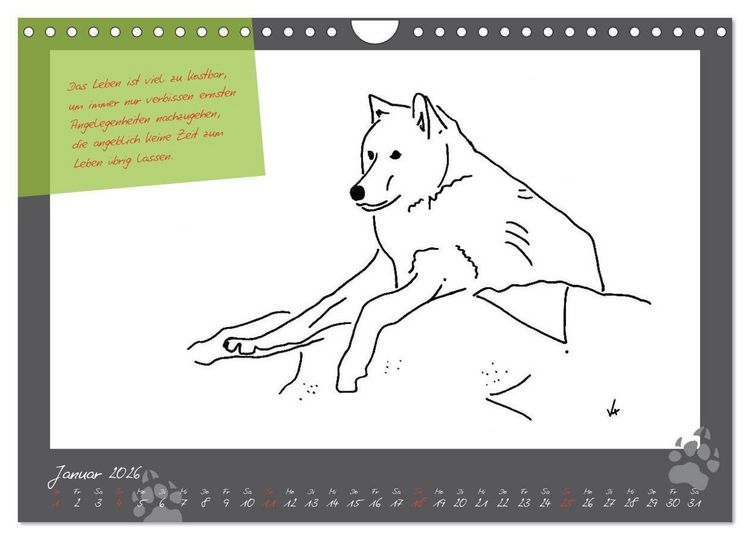 Produktbild: Der kleine GROSSE Wolf - Kalender (Wandkalender 2026 DIN A4 quer), CALVENDO Monatskalender