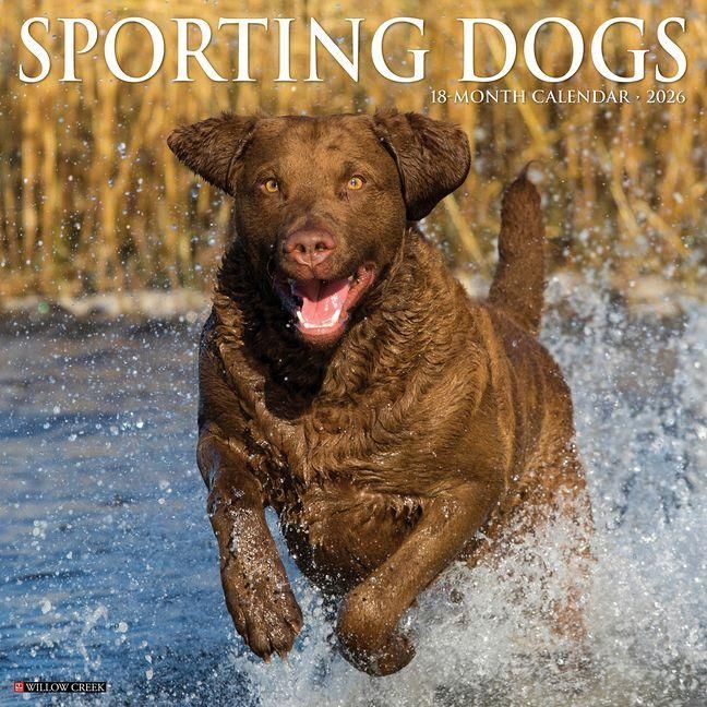 Produktbild: Sporting Dogs 2026 12 X 12 Wall Calendar