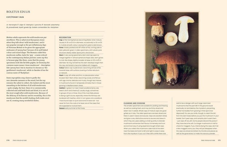 Produktbild: A Passion for Mushrooms