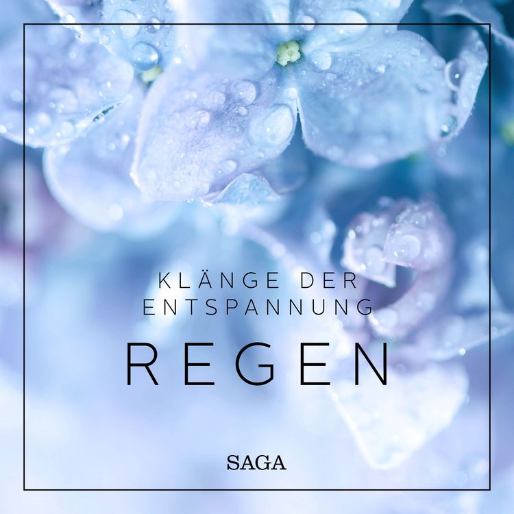 Produktbild: Kl&auml;nge der Entspannung - Regen