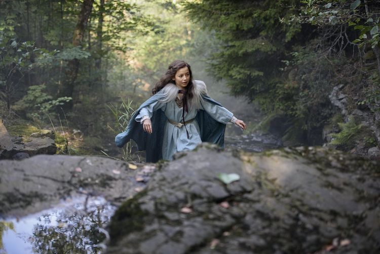 Produktbild: Halvdan, der Wikinger