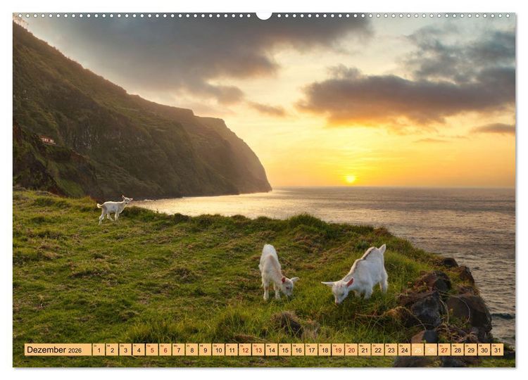 Produktbild: Madeira - Fr&uuml;hlingsinsel im Atlantik (hochwertiger Premium Wandkalender 2026 DIN A2 quer), Kunstdruck in Hochglanz