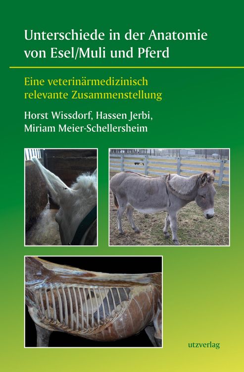 Produktbild: Unterschiede in der Anatomie von Esel/Muli und Pferd