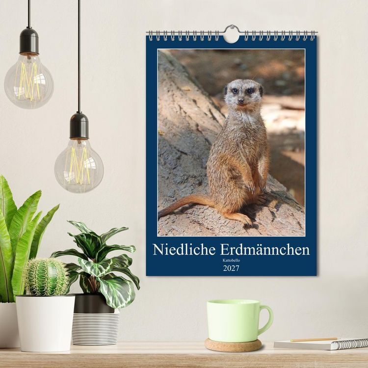 Produktbild: Niedliche Erdm&auml;nnchen (Wandkalender 2027 DIN A4 hoch), CALVENDO Monatskalender