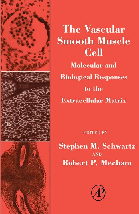 Produktbild: The Vascular Smooth Muscle Cell