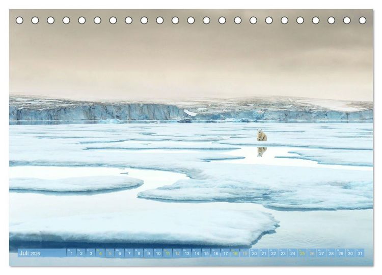 Produktbild: Eisb&auml;ren: Lebensk&uuml;nstler im Eis (Tischkalender 2026 DIN A5 quer), CALVENDO Monatskalender
